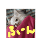 よもぎ4さい（個別スタンプ：3）