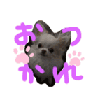 よもぎ4さい（個別スタンプ：12）