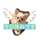 よもぎ4さい（個別スタンプ：14）