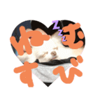 よもぎ4さい（個別スタンプ：15）