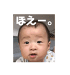 もちはる④（個別スタンプ：5）