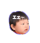 ほんれんスタンプ（個別スタンプ：11）
