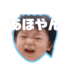 ほんれんスタンプ（個別スタンプ：15）