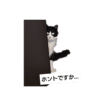 鼻にんに君☆その1（個別スタンプ：1）