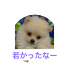 くぅのいちにち。そのさん（個別スタンプ：2）