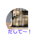 くぅのいちにち。そのさん（個別スタンプ：4）