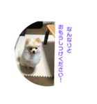 くぅのいちにち。そのさん（個別スタンプ：6）