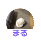 くぅのいちにち。そのよん（個別スタンプ：1）