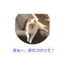くぅのいちにち。そのよん（個別スタンプ：2）