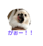 くぅのいちにち。そのよん（個別スタンプ：3）