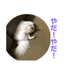 くぅのいちにち。そのよん（個別スタンプ：4）