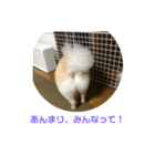 くぅのいちにち。そのよん（個別スタンプ：5）