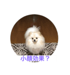 くぅのいちにち。そのよん（個別スタンプ：6）