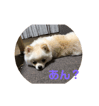 くぅのいちにち。そのよん（個別スタンプ：7）