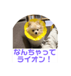 くぅのいちにち。そのよん（個別スタンプ：8）