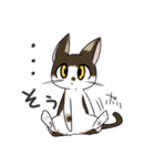ぺんぎんとねこのスタンプ（個別スタンプ：8）