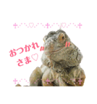 よもたんとバジル Vol.1（個別スタンプ：1）
