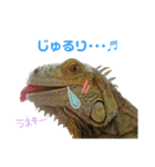よもたんとバジル Vol.1（個別スタンプ：5）