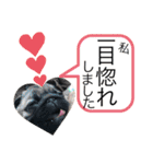 パグのグゥ ②（個別スタンプ：9）