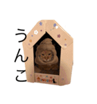 もっと使いやすい(実写)（個別スタンプ：13）