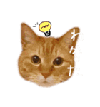 もっと使いやすい(実写)（個別スタンプ：35）