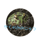かわいいツノガエルスタンプ（個別スタンプ：4）