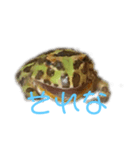 かわいいツノガエルスタンプ（個別スタンプ：6）