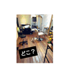 ジャックラッセルテリア梅ちゃん（個別スタンプ：14）