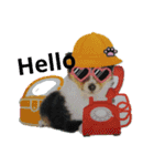 Hiphop シェルティⅡ（個別スタンプ：8）