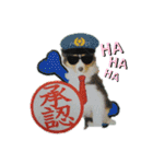 Hiphop シェルティⅡ（個別スタンプ：11）