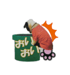Hiphop シェルティⅡ（個別スタンプ：14）