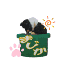 Hiphop シェルティⅡ（個別スタンプ：15）