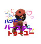 Hiphop シェルティⅡ（個別スタンプ：17）