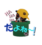 Hiphop シェルティⅡ（個別スタンプ：18）