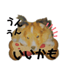 Hiphop シェルティⅡ（個別スタンプ：22）