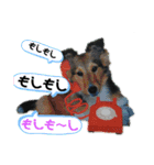 Hiphop シェルティⅡ（個別スタンプ：23）