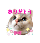 小梅ちゃんと楽しむ日常会話（個別スタンプ：4）