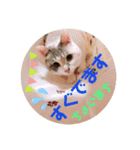 小梅ちゃんと楽しむ日常会話（個別スタンプ：8）
