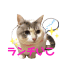 小梅ちゃんと楽しむ日常会話（個別スタンプ：9）