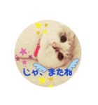 小梅ちゃんと楽しむ日常会話（個別スタンプ：10）