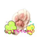 小梅ちゃんと楽しむ日常会話（個別スタンプ：11）