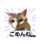 小梅ちゃんと楽しむ日常会話（個別スタンプ：16）