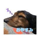 なつきんぐ！（個別スタンプ：4）