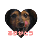 なつきんぐ！（個別スタンプ：5）