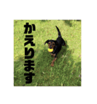 なつきんぐ！（個別スタンプ：6）