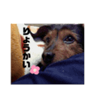 なつきんぐ！（個別スタンプ：8）