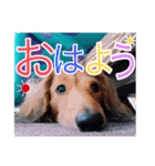 とむさん(日常)（個別スタンプ：2）