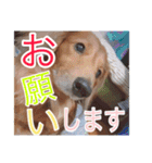 とむさん(日常)（個別スタンプ：5）