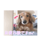 とむさん(日常)（個別スタンプ：6）