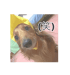 とむさん(日常)（個別スタンプ：7）